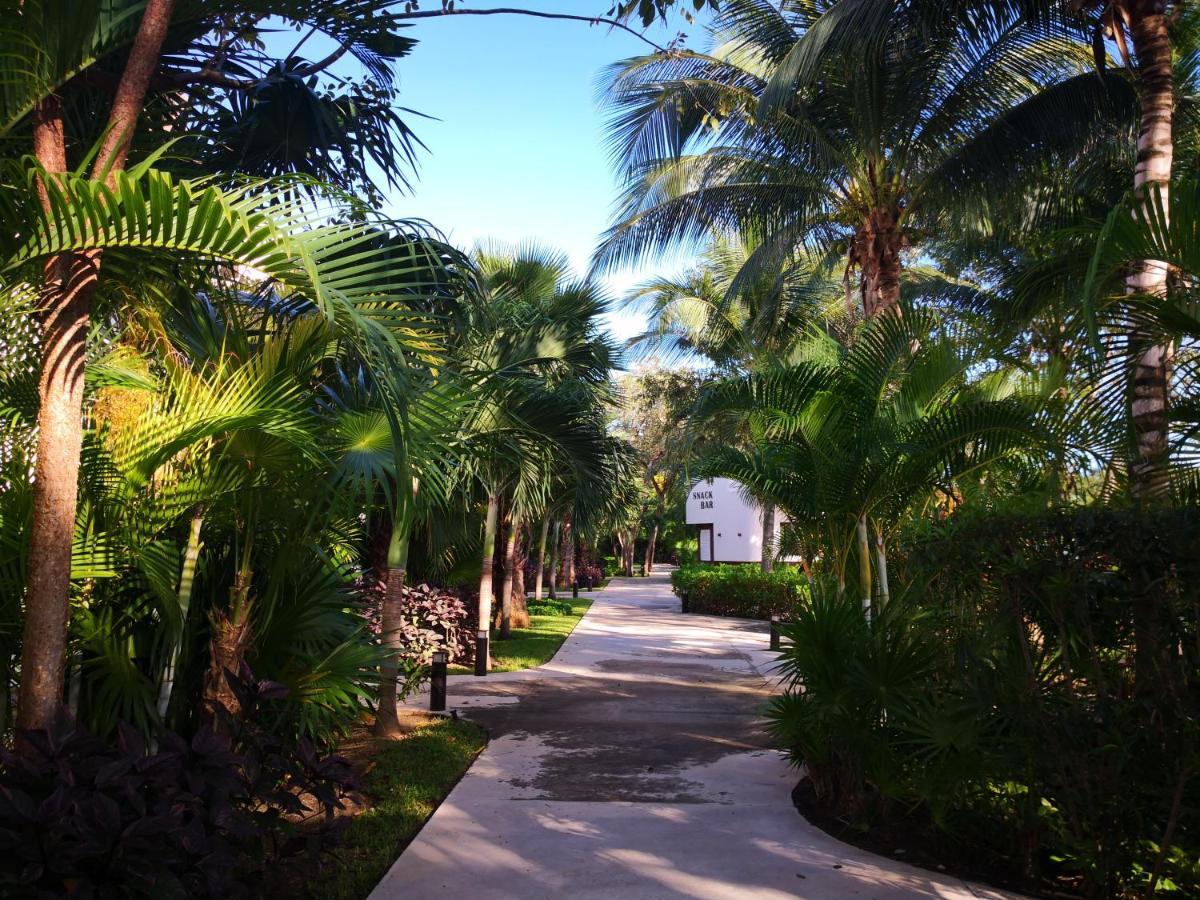 Beachside Corasol El Amanecer De Frida 2 Personas *